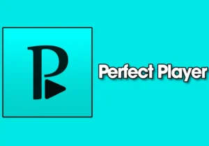 Perfect Player Interface